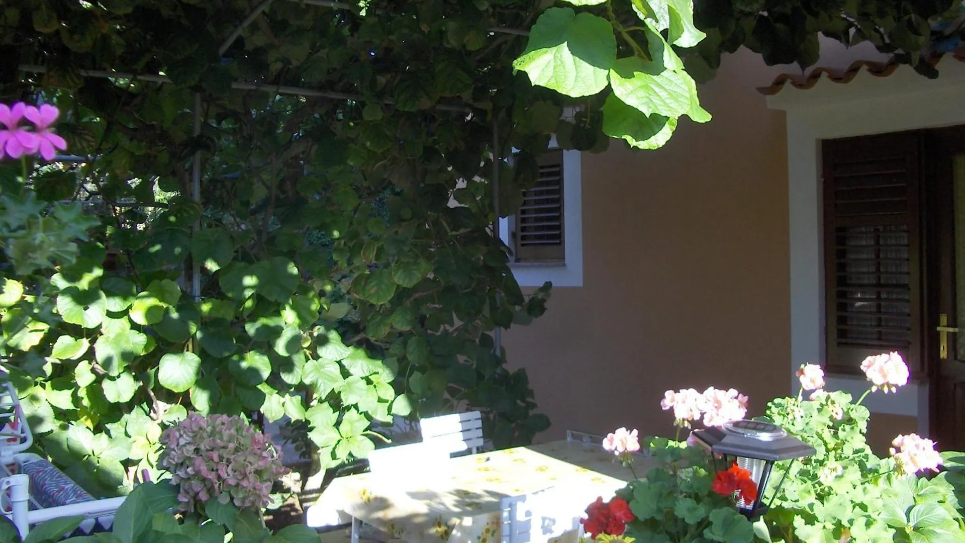 Apartments Beba Mali Losinj Croatia