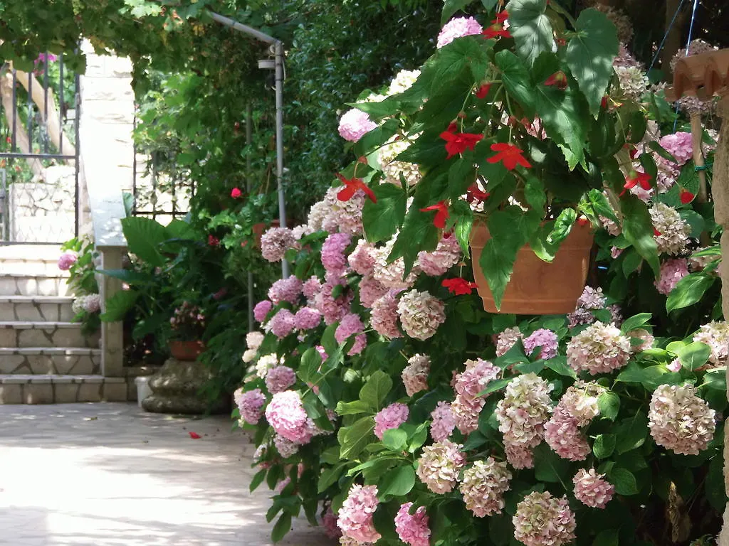 Apartments Beba Mali Lošinj